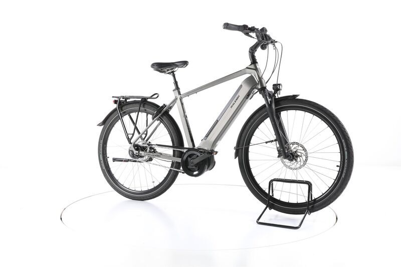 Raleigh Bristol XXL 2022 | grigio | 28" | 53 cm | 500-3000 km 1