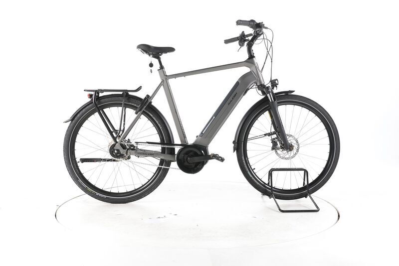 Raleigh Bristol XXL 2022 | grey | 28" | 63 cm | > 3000 km, image 1 of 5
