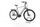 Raleigh Bristol XXL 2022 | grey | 28" | 63 cm | > 3000 km, thumbnail 2 of 5