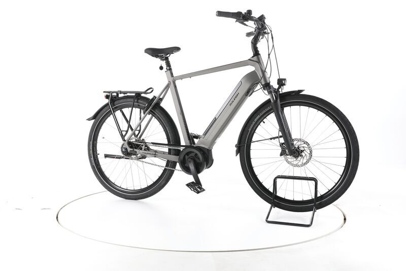 Raleigh Bristol XXL 2022 | grey | 28" | 63 cm | 500 - 3000 km, image 2 of 5