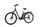 Raleigh Corby 8 XXL RT (2020) | Tiefeinsteiger | schwarz | 28" | 50 cm | 100 - 500 km thumbnail 2/4