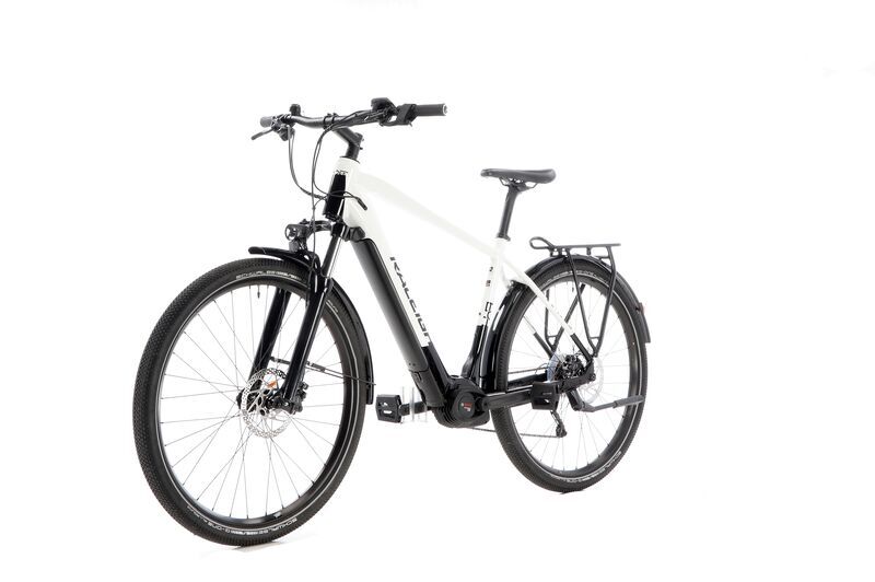 Raleigh Dundee 10 (2021) | Diamant | weiß | 29" | 52 cm | 2000 - 3000 km 3