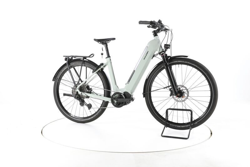 Raleigh Dundee 11 2022 | white | 29" | M | < 500 km, image 2 of 5