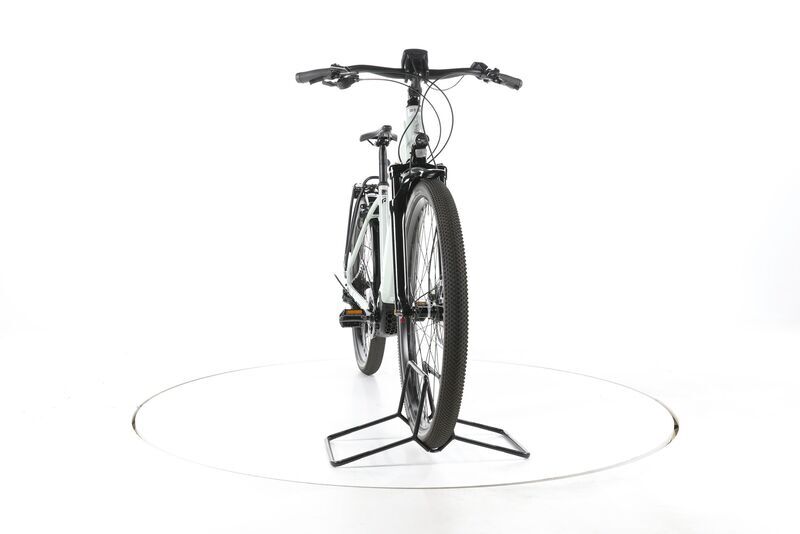 Raleigh Dundee 11 2022 | white | 29" | M | < 500 km, image 4 of 5