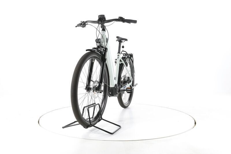 Raleigh Dundee 11 2022 | white | 29" | M | < 500 km, image 5 of 5