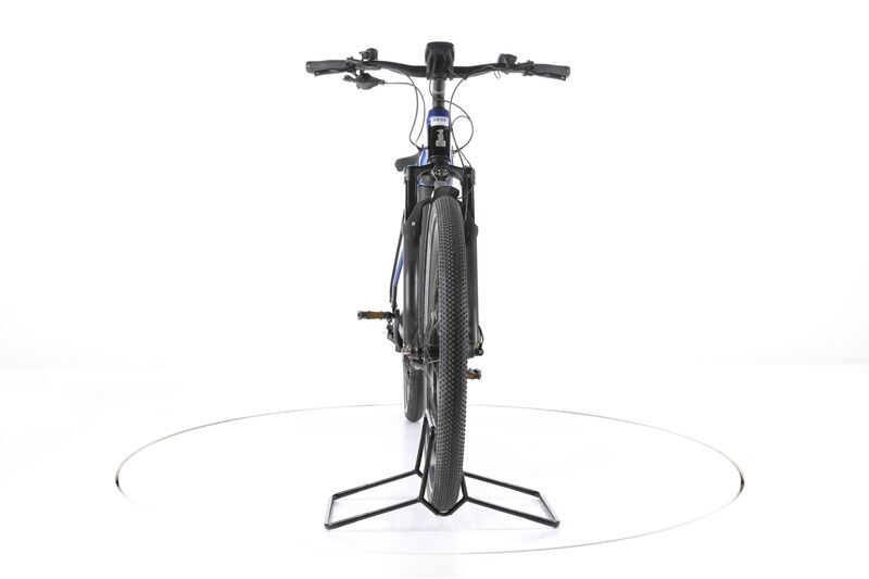 Raleigh Dundee 12 (2021) | Diamond | blue | 29" | 48 cm | > 3000 km 2