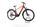 Raleigh DUNDEE 9 2022 | oranje | 29" | 48 cm | 500 - 3000 km, thumbnail 1 of 4