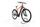 Raleigh DUNDEE 9 2022 | oranje | 29" | 48 cm | 500 - 3000 km, thumbnail 2 of 4