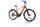 Raleigh DUNDEE 9 2022 | orange | 29" | 48 cm | > 3000 km, thumbnail 1 of 4
