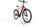 Raleigh DUNDEE 9 2022 | orange | 29" | 48 cm | > 3000 km, thumbnail 2 of 4