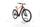 Raleigh Dundee 9 2022 | rojo | 29" | 52 cm | 500 - 3000 km, thumbnail 3 of 5