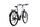 Raleigh Dundee (2022) | Diamant | weiß/schwarz | 29" | L | 500 - 1000 km thumbnail 2/5