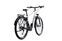 Raleigh Dundee (2022) | Diamante | bianco/nero | 29" | L | 500 - 1000 km thumbnail 2/5
