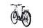 Raleigh Dundee (2022) | Diamante | bianco/nero | 29" | L | 500 - 1000 km thumbnail 3/5