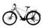 Raleigh Dundee (2022) | Diamante | bianco/nero | 29" | L | 500 - 1000 km thumbnail 4/5