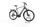 Raleigh Dundee LTD 2022 | sort | 27,5" | XL | 500 - 3000 km, thumbnail 1 of 4