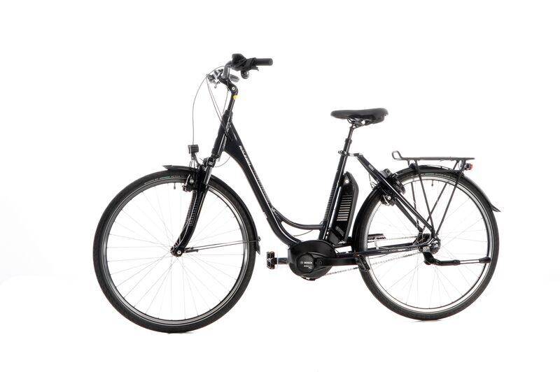 Raleigh Jersey Plus (2021) | Tiefeinsteiger | grau | 28" | 52 cm | 100 - 500 km 2