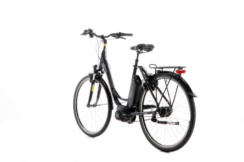 Raleigh Jersey Plus (2021) | Tiefeinsteiger | grau | 28" | 52 cm | 100 - 500 km 4