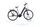 Raleigh Kent Premium (2020) | Tiefeinsteiger | grau | 28" | 48 cm | 2000 - 3000 km thumbnail 1/5