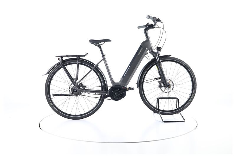 Raleigh Kent Premium (2020) | Tiefeinsteiger | grau | 28" | 48 cm | 2000 - 3000 km 1