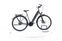 Raleigh Kent Premium (2020) | Tiefeinsteiger | grau | 28" | 48 cm | 2000 - 3000 km thumbnail 1/5