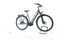 Raleigh Kent Premium (2020) | Tiefeinsteiger | grau | 28" | 48 cm | 2000 - 3000 km thumbnail 2/5