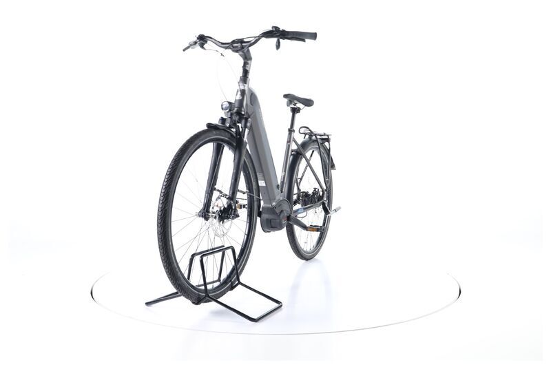 Raleigh Kent Premium (2020) | Tiefeinsteiger | grau | 28" | 48 cm | 2000 - 3000 km 4