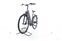 Raleigh Kent Premium (2020) | Tiefeinsteiger | grau | 28" | 48 cm | 2000 - 3000 km thumbnail 4/5