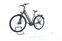 Raleigh Kent Premium (2020) | Tiefeinsteiger | grau | 28" | 48 cm | 2000 - 3000 km thumbnail 5/5