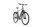 Raleigh Preston 9 (2019) | Diamond | grey | 28" | 58 cm | 2000 - 3000 km thumbnail 1/4