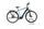 Raleigh Preston Premium (2021) | Diamond | blue | 28" | 53 cm | L | 100 - 500 km thumbnail 1/5