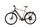 Raleigh Stanton 9 (2018) | Diamant | grau | 28" | 58 cm | 2000 - 3000 km thumbnail 2/4