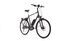 Raleigh Stoker B9 (2019) | Diamant | schwarz | 28" | 60 cm | 2000 - 3000 km thumbnail 1/4