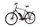 Raleigh Stoker B9 (2019) | Diamond | black | 28" | 60 cm | 2000 - 3000 km thumbnail 2/4