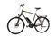 Raleigh Stoker B9 (2019) | Diamant | schwarz | 28" | 60 cm | 2000 - 3000 km thumbnail 2/4
