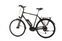 Raleigh Stoker B9 (2019) | Diamant | schwarz | 28" | 60 cm | 2000 - 3000 km thumbnail 3/4
