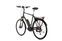 Raleigh Stoker B9 (2019) | Diamant | schwarz | 28" | 60 cm | 2000 - 3000 km thumbnail 4/4