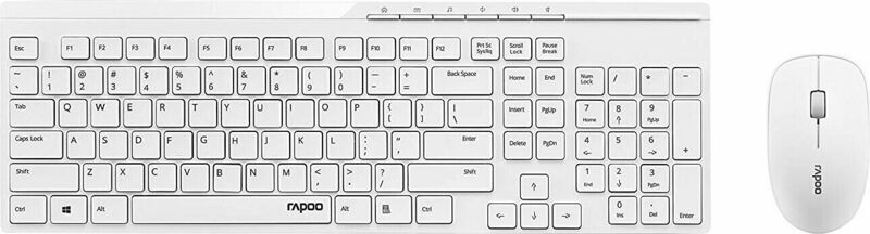 Rapoo X8100 Wireless | bílá | DE 1