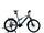 Raymon CrossRay FS E 5.0 2022 | grey | 27.5" | L | > 3000 km, thumbnail 1 of 5