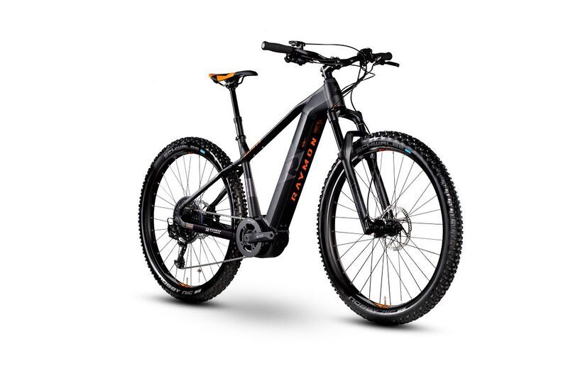 Raymon E-NineRay LTD 2.0 (2020) | Diamant | Schwarz | 29 " | 50 cm | 2000 - 3000 km 1