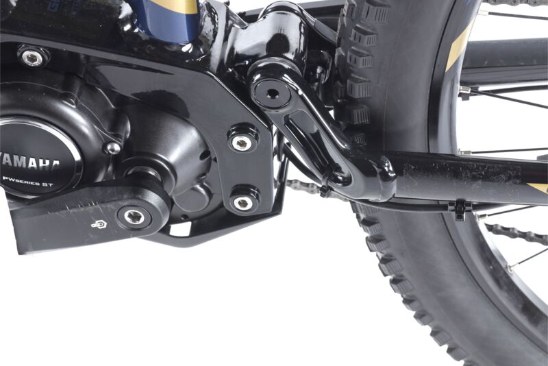 Raymon FullRay E-Nine 8.0 (2021) | Diamond | blue/gold | 44 cm | 500 - 1000 km 3