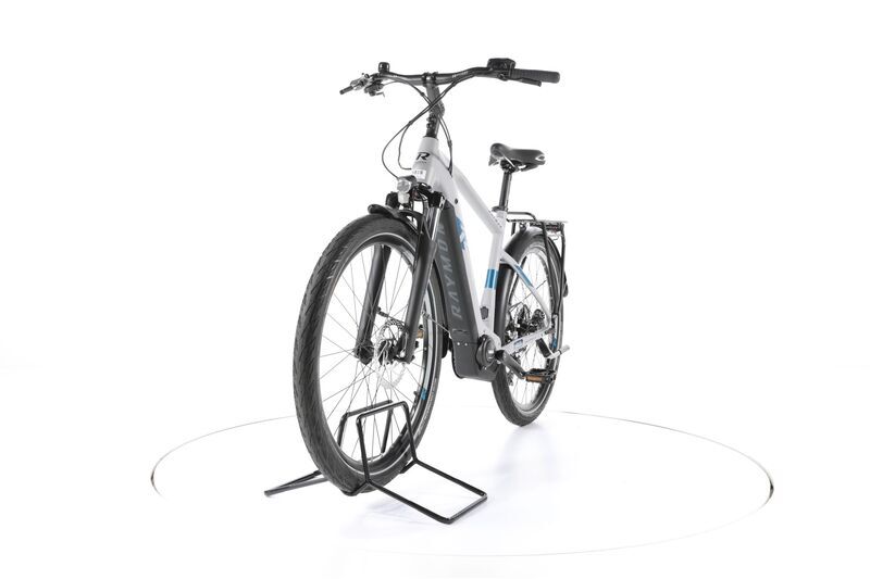 Raymon TourRay E 5.0 (2023) | Diamant | weiß/blau | 50 cm | M | 100 - 500 km 5