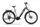 Raymon TourRay E 5.0 (2022) | Low Entry | brown | 27” | 55 cm | < 500 km, thumbnail 1 of 4