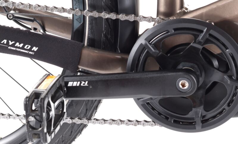 Raymon TourRay E 5.0 (2022) | Low Entry | brown | 27” | 55 cm | < 500 km, image 2 of 4