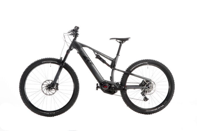 Raymon TrailRay 140E (2022) | Diamant | grau | 29" | 44 cm | < 100 km 4