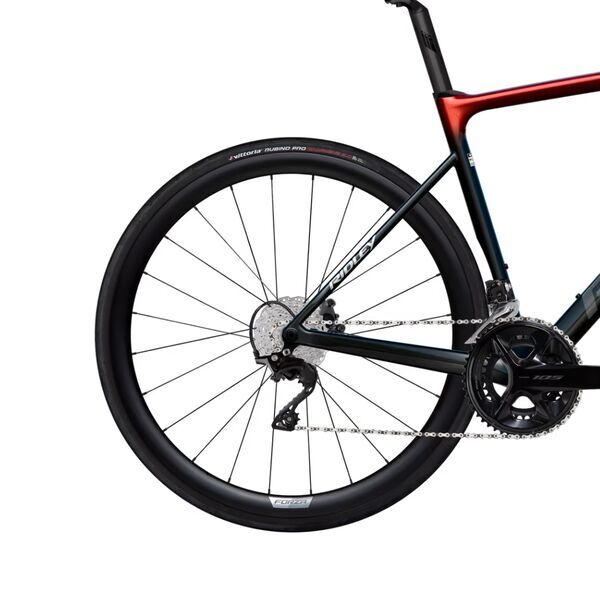 Ridley Falcn (2025) | Diamond | red | 55 cm | M 2