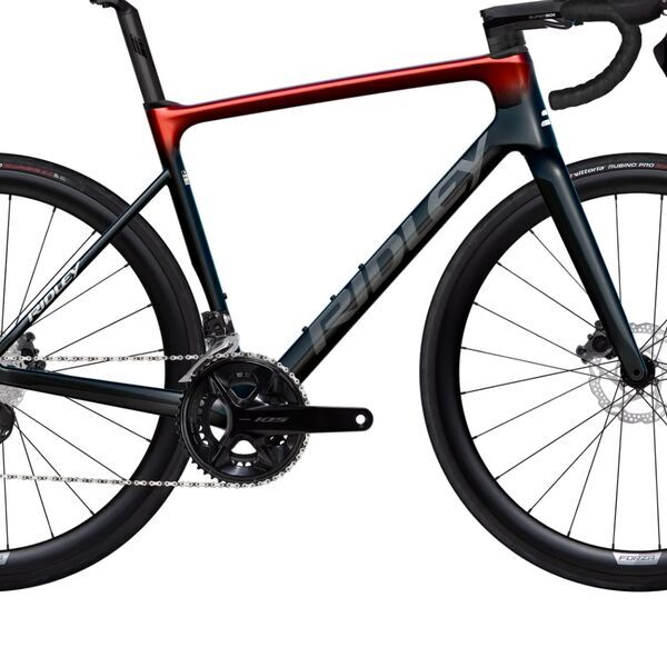 Ridley Falcn (2025) | Diamond | red | 55 cm | M 1