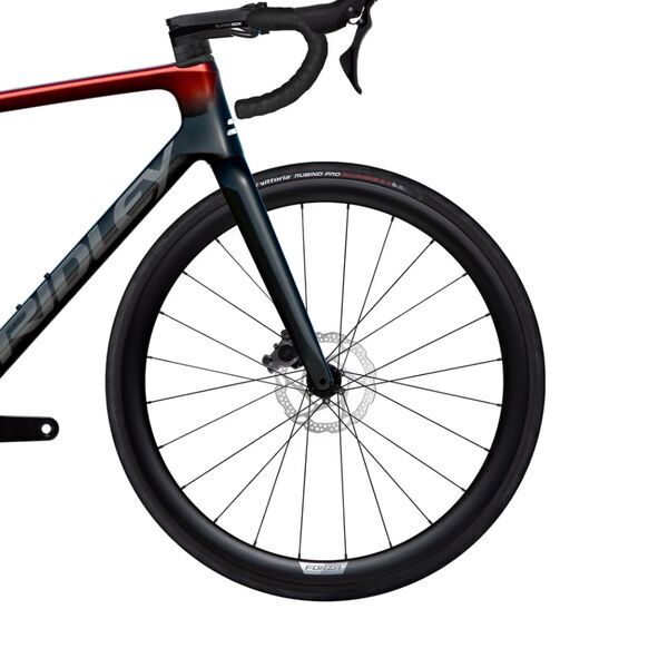 Ridley Falcn (2025) | Diamond | red | 55 cm | M 3