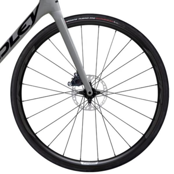 Ridley Helium Disc (2025) | dimants | pelēks | 58 cm | XL 3