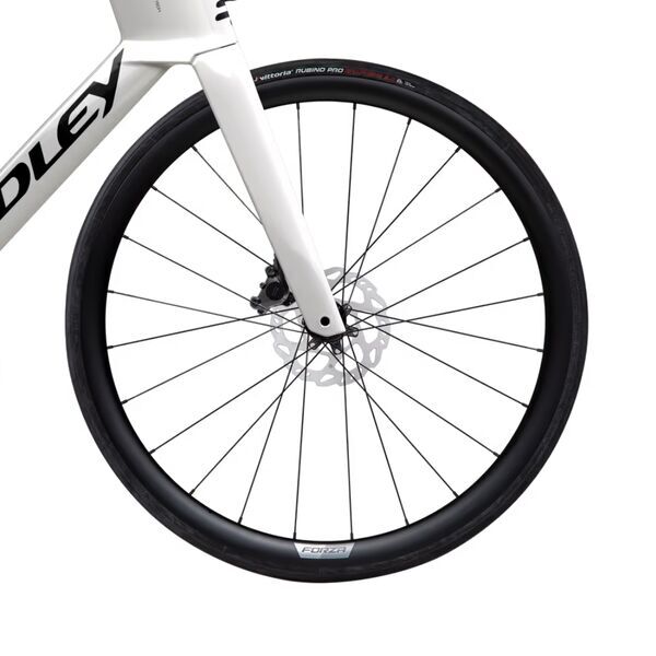 Ridley Noah 3.0 (2025) | Diamant | weiß | 56 cm | L 5